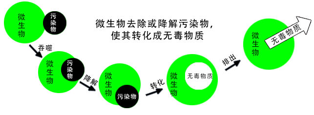 系統(tǒng)架構圖3